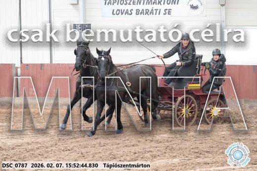 Mintakép 20260207-723