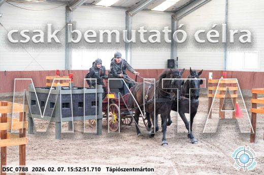 Mintakép 20260207-724
