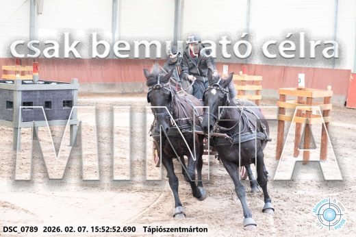 Mintakép 20260207-725