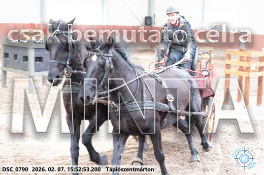 Mintakép 20260207-726
