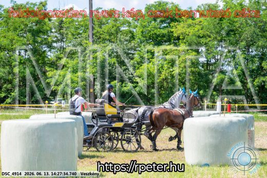 Mintakép 20260613-605
