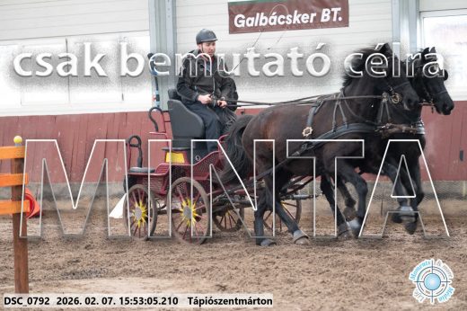 Mintakép 20260207-727