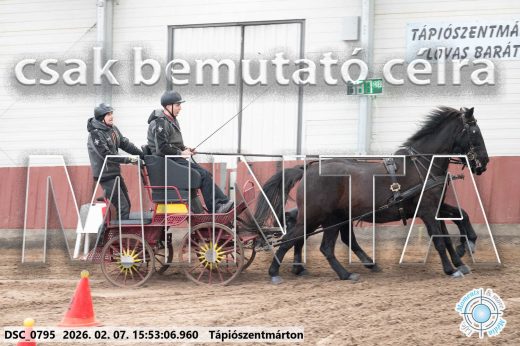 Mintakép 20260207-728