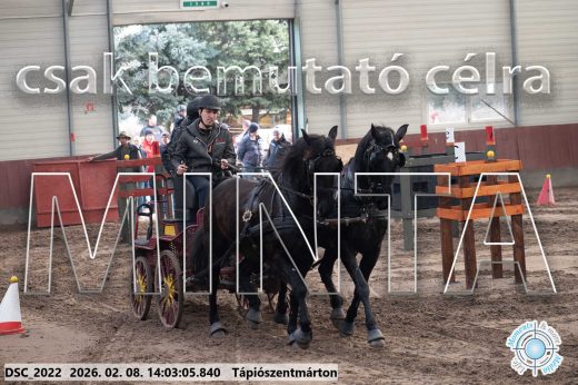 Mintakép 20260208-1173