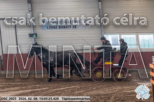 Mintakép 20260208-1175