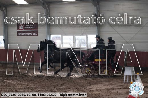 Mintakép 20260208-1176