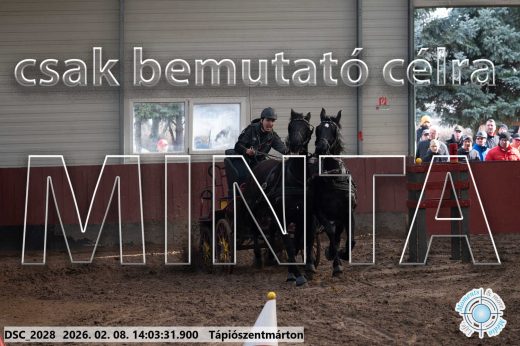 Mintakép 20260208-1178