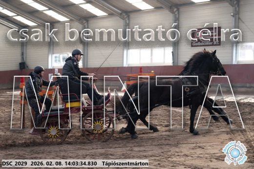 Mintakép 20260208-1179