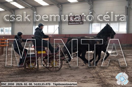 Mintakép 20260208-1180