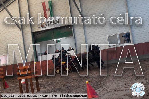 Mintakép 20260208-1181