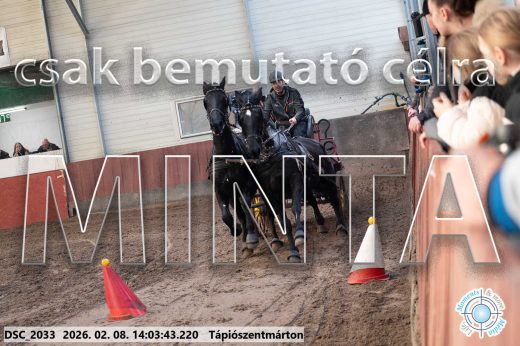 Mintakép 20260208-1183