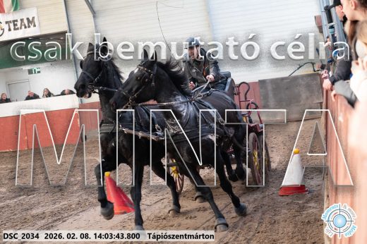 Mintakép 20260208-1184