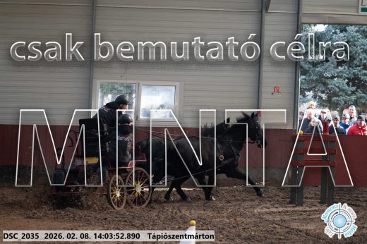 Mintakép 20260208-1185
