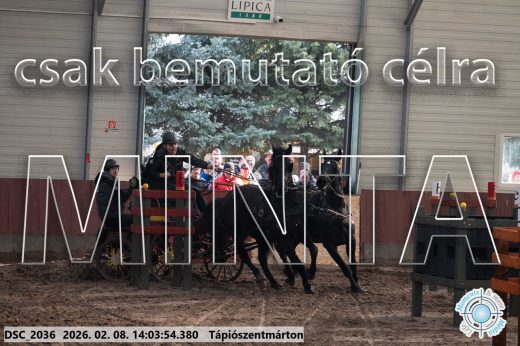 Mintakép 20260208-1186