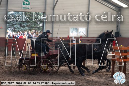 Mintakép 20260208-1187