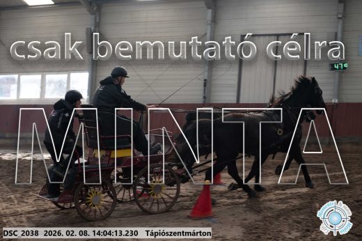 Mintakép 20260208-1188