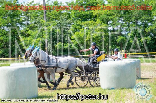 Mintakép 20260613-607