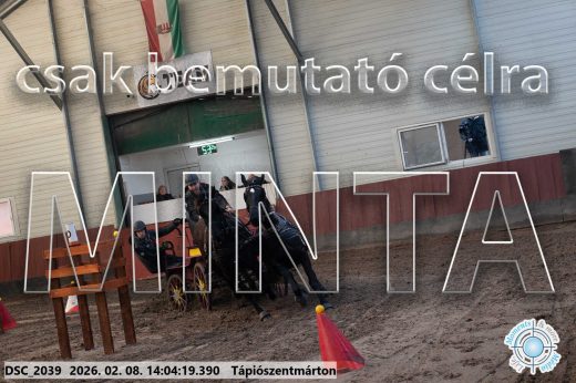 Mintakép 20260208-1189
