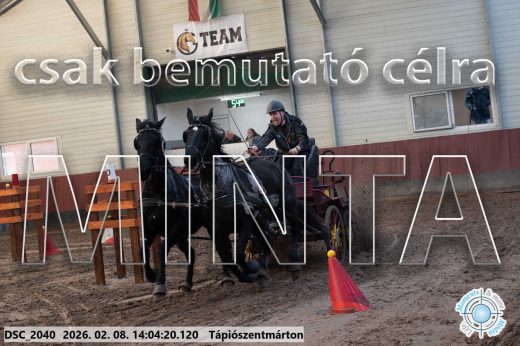 Mintakép 20260208-1190