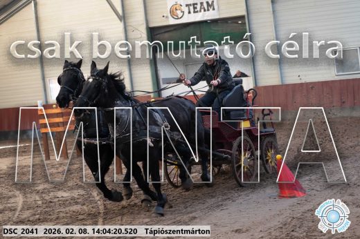Mintakép 20260208-1191
