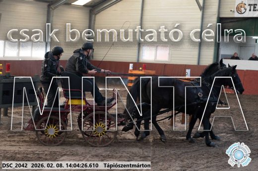 Mintakép 20260208-1192