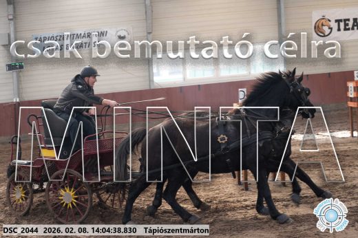 Mintakép 20260208-1194