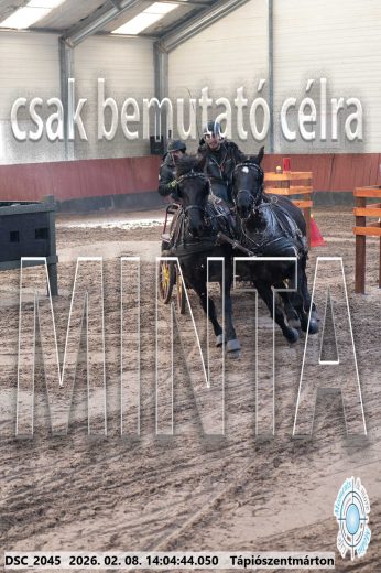 Mintakép 20260208-1195