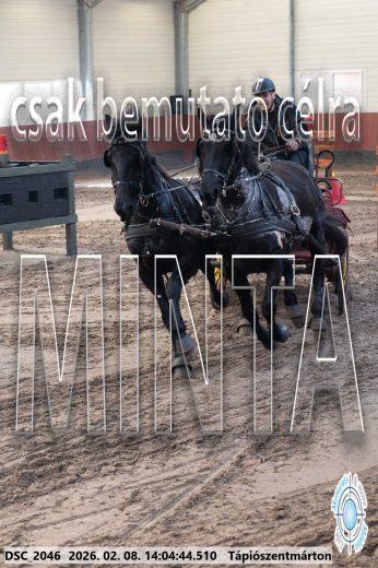 Mintakép 20260208-1196