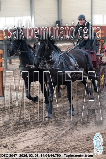 Mintakép 20260208-1197