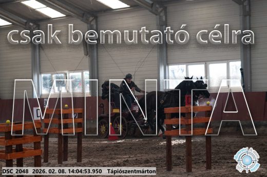 Mintakép 20260208-1198