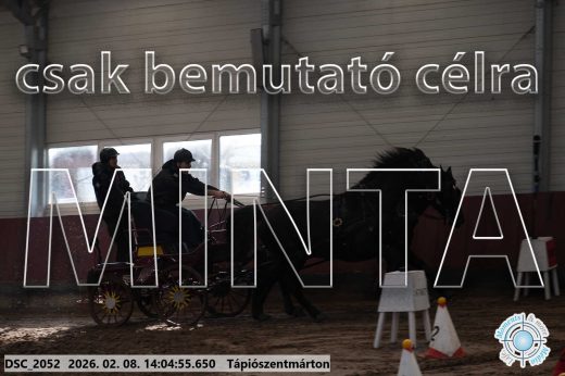 Mintakép 20260208-1202
