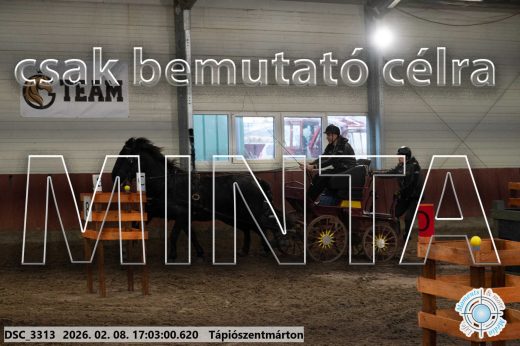 Mintakép 20260208-1209