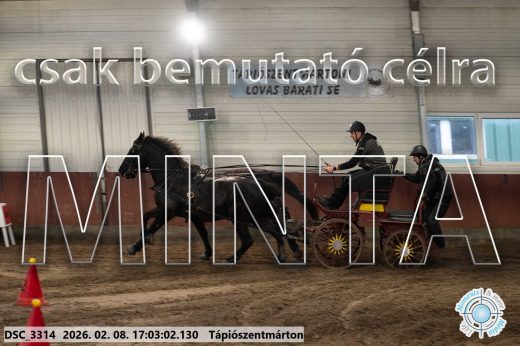 Mintakép 20260208-1210