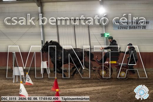 Mintakép 20260208-1211