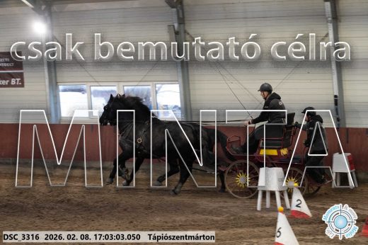 Mintakép 20260208-1212