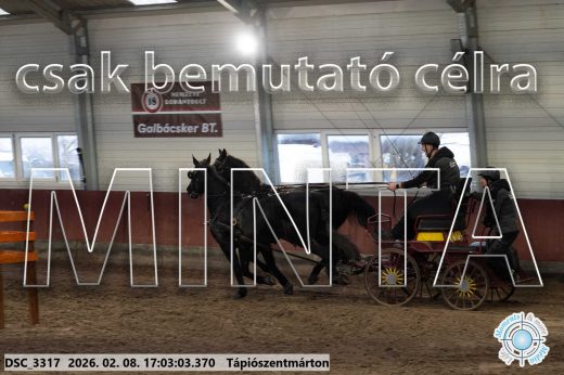 Mintakép 20260208-1213