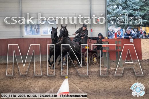 Mintakép 20260208-1214