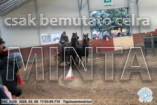 Mintakép 20260208-1216