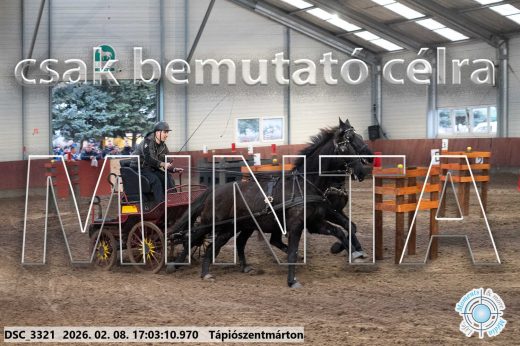 Mintakép 20260208-1217