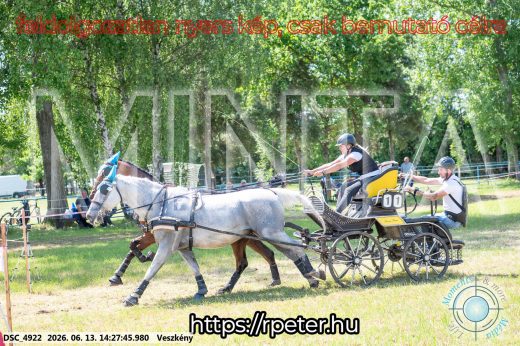Mintakép 20260613-610