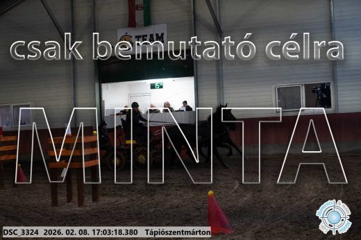 Mintakép 20260208-1220