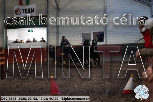 Mintakép 20260208-1221