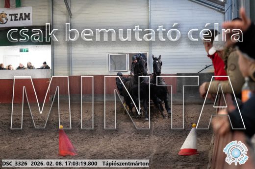 Mintakép 20260208-1222