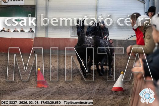Mintakép 20260208-1223