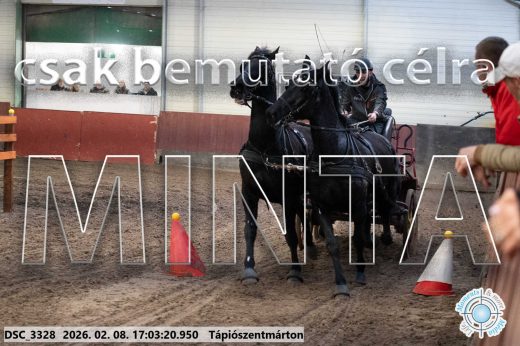 Mintakép 20260208-1224