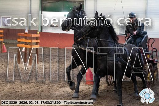 Mintakép 20260208-1225