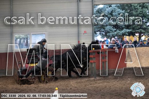 Mintakép 20260208-1226