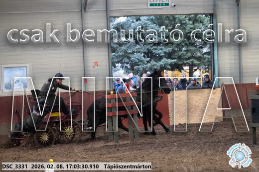 Mintakép 20260208-1227