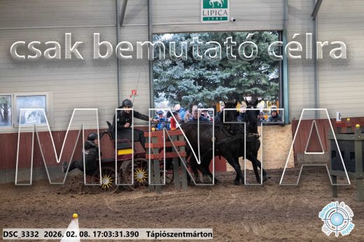 Mintakép 20260208-1228