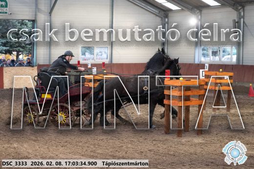 Mintakép 20260208-1229
